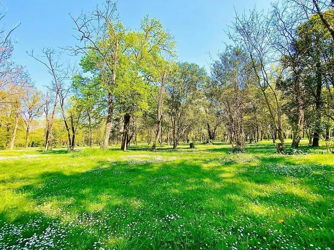 Camping en Ardeche Le Lion Bourg-Saint-Andéol