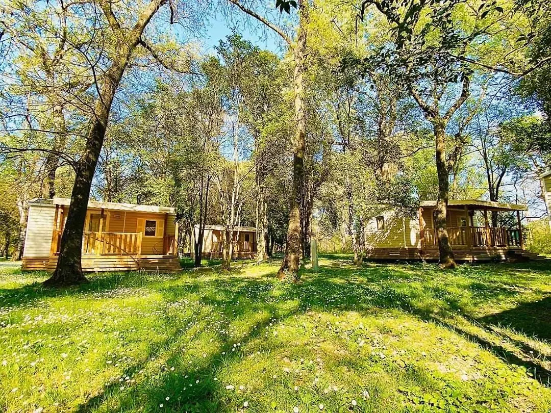 Campsite Camping Du Lion Bourg-Saint-Andeol